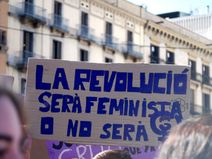 Feminisme, Lluita feminista, feminismes